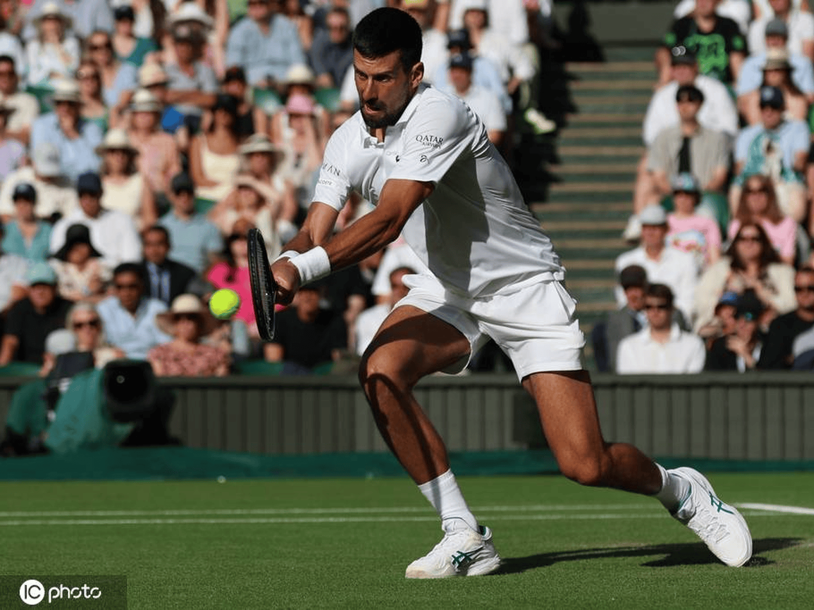 美网逆转拉沃尔杯，德约科维奇点燃赛场