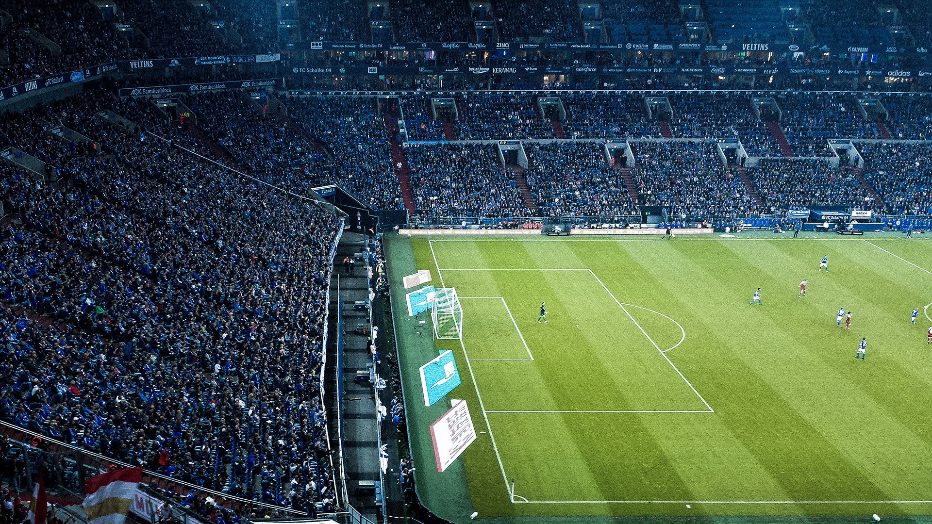 狼王咆哮，凤凰涅槃，森林狼力克国王，布克主宰年度焦点战